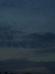 EE0B7736-2DC2-4FEB-98B8-F9A4A0FCDE8A/L0/001
