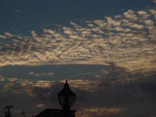 9323F570-99FF-443A-8A98-128B660D68CF/L0/001