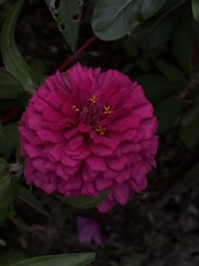 E38793C0-3BCD-4F88-A03F-34AD39731A26/L0/001