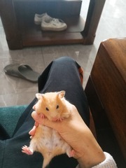 73550