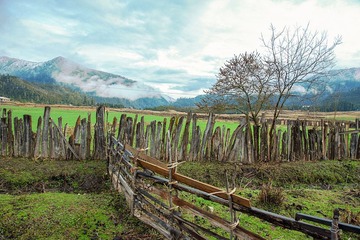 DSC_0247-2.jpg