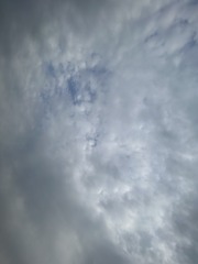 85A3BD17-06B9-4B29-AE04-9D8C7BB3F8E4/L0/001