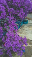 5081613