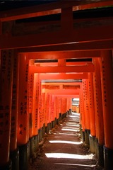 C7F4C820-407D-4AC9-A57C-B626A99791EF/L0/001