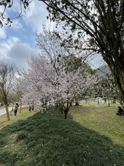 4A61C8FC-3F6E-48BB-8EF5-DD0682FB0E19/L0/001