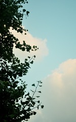 1000095414