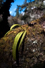 DSC_7164.jpg