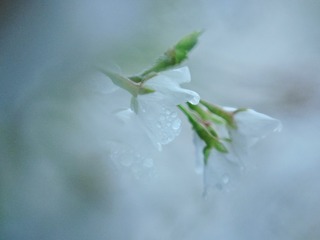 2091746