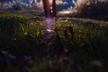 1000020123