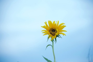 07813DE0-C9BB-4DA8-9113-BBDC25A2C348/L0/001
