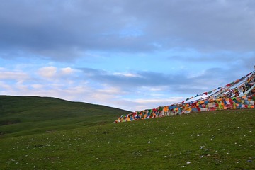 9E477D4C-9D7F-4802-9D6F-EC12DE577801/L0/001