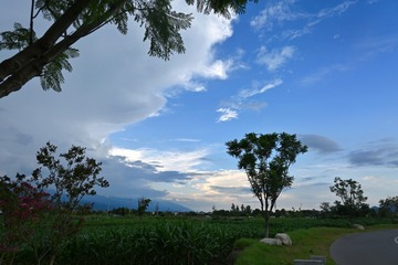 08039ED3-D87A-4321-A86D-D08F0134A521/L0/001