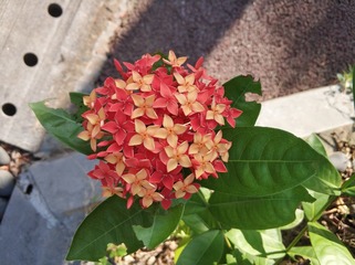 3542954