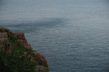 239F40FA-7F87-4CD8-9F21-AEF5DA0C091A/L0/001