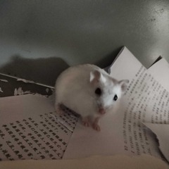 4821