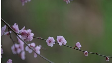 15035
