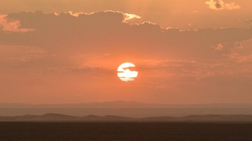 1000014544