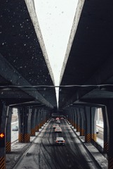 1000110245