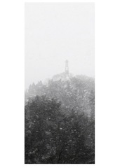 1000113039