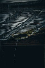 1000006211