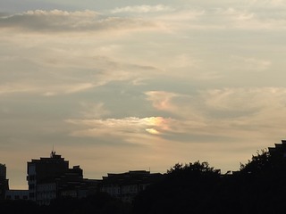 1000026865