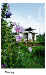 DSC04580_副本.jpg