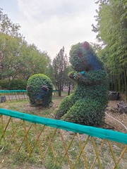 1000026647