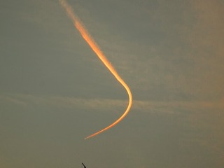 1000103448
