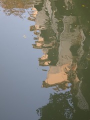 1000115263