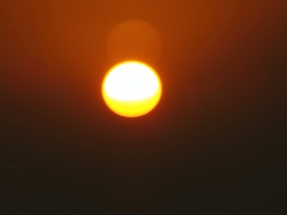 1000102459