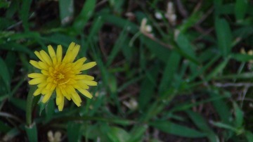 571C04EA-BE4C-4DE9-8A22-5D39E6D27E2B/L0/001