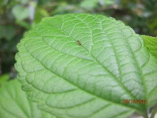 A7A3A309-1625-4B5F-868D-AA2B902EBB90/L0/001