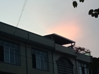 2319013