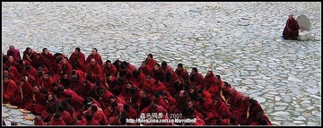 IMG_0353a.jpg