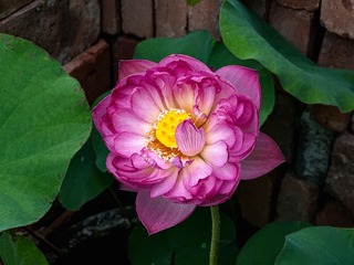 AB758E52-14BE-4F61-BF3A-57C2D5FFB0F0/L0/001
