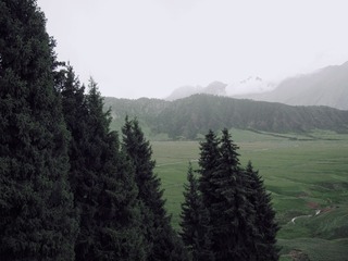 44989819-CD33-4E04-8B23-4016E452E6F7/L0/001