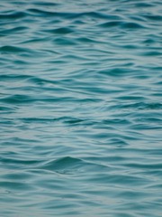 1000006701