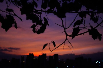 8AA88F96-5135-4D38-82ED-A3CFBBFBBDAF/L0/001