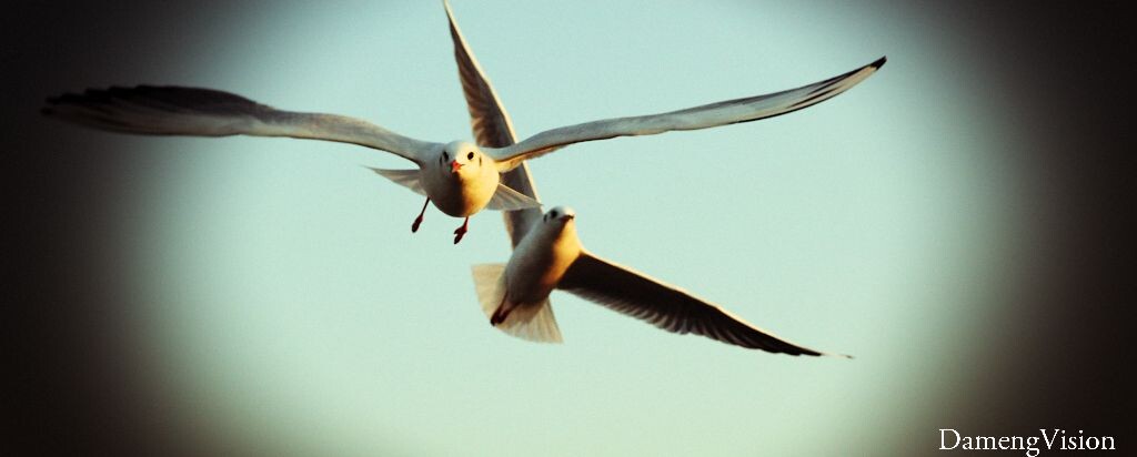 fly with me<br />
