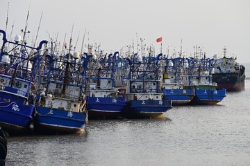 _DSC8190