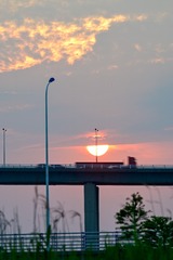 _DSC8344