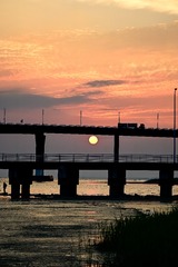 _DSC8448