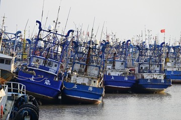 _DSC8195