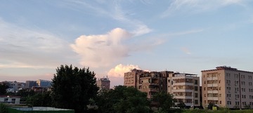 1000022840