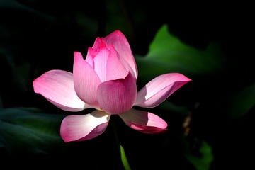 DSC_8853-