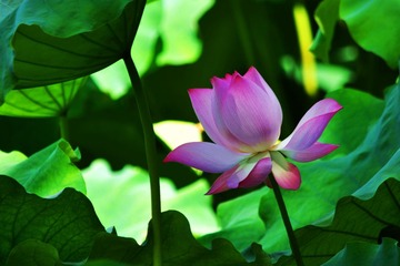 DSC_8861-