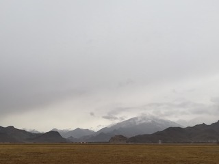 49741