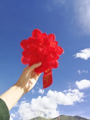 49750