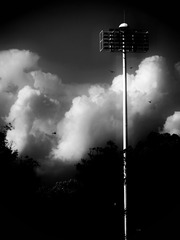 5B61ED08-C222-4482-A4A2-944F3C86F81C/L0/001