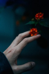 1000116574